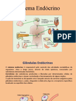 Aula sistema endócrino