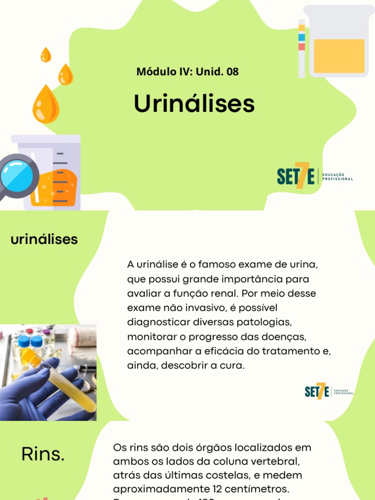 Módulo IV Unid. 08 - Urináli | PDF | Rim | Urina