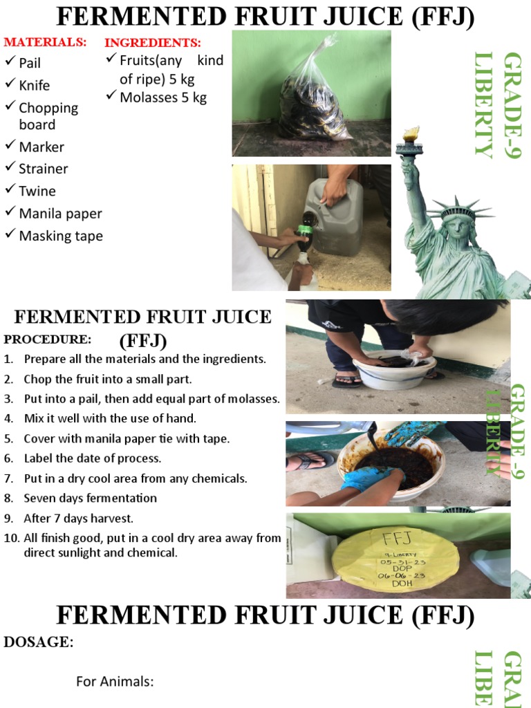 Fermented Fruit Juice (FFJ) Guide | PDF | Cooking, Food & Wine | Home ...