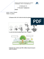 4° CCNN Las Plantas