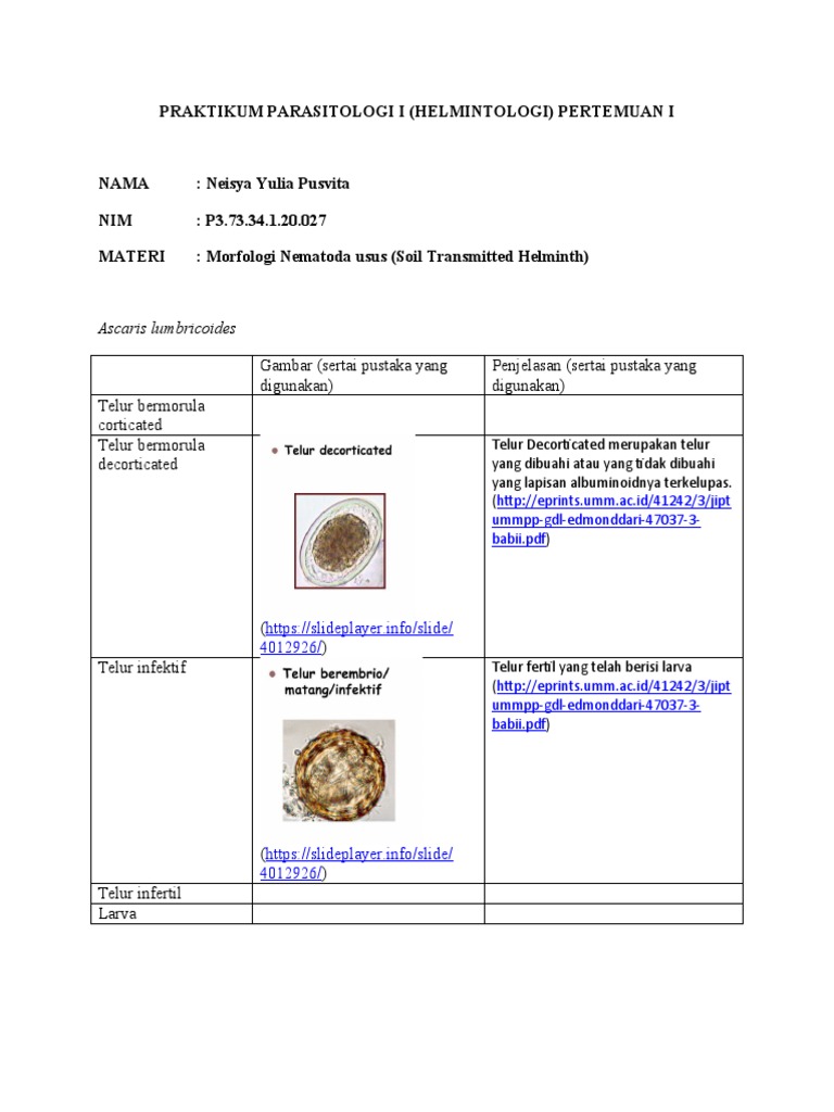 Morfologi Nematoda dan Telur Decorticated | PDF