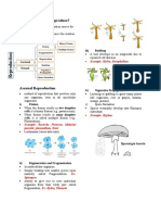 How Do Organism Reproduce