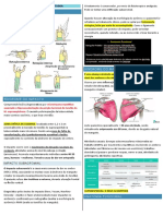 Resumo - Manguito Rotador