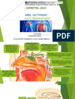 Anatomia y Biologia