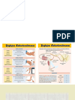 Electrocardiograma 1