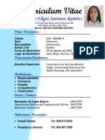 CV Hirally Eligia Santana Ramirez