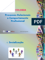 MDL - Processos Relacionais e Comportamento Profissional