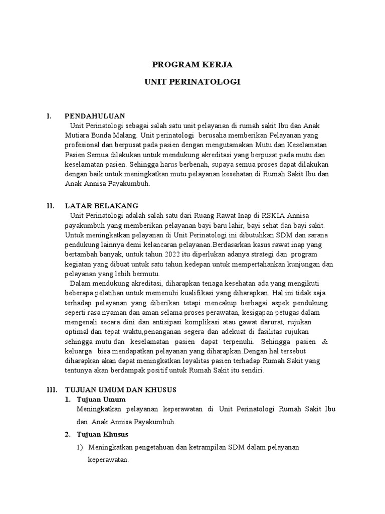 Program Kerja Unit Perinatologi RSKIA | PDF