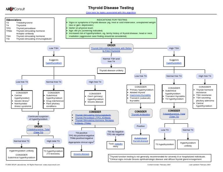 Thyroid Disease Testing Algorithm | PDF | Hypothyroidism | Thyroid Disease