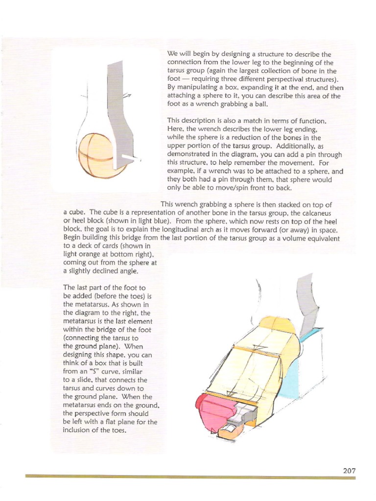 Michael-Hampton-Figure-Drawing-Design-And-Invention-Parte 8 (213-241) | PDF