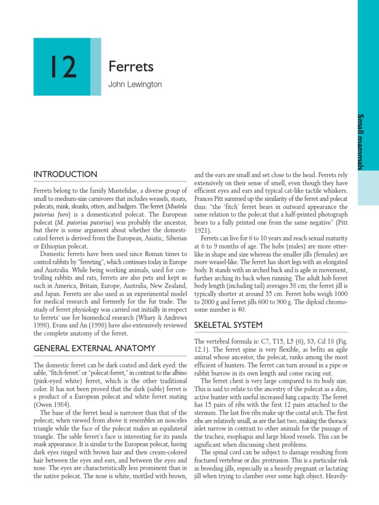 Cap. 12 - Ferrets | PDF | Heart | Lung