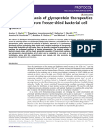 Rapid Biosynthesis of Glycoprotein Therapeutics and Vaccines From Freeze-Dried Bacterial Cell Lysates