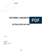 Informe Laboratorio: Extracción de Adn