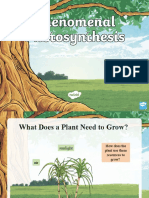 Us2 e 117 Phenomenal Photosynthesis Powerpoint English - Ver - 2