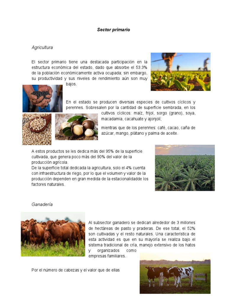 El Soconusco PDF Agricultura Chiapas