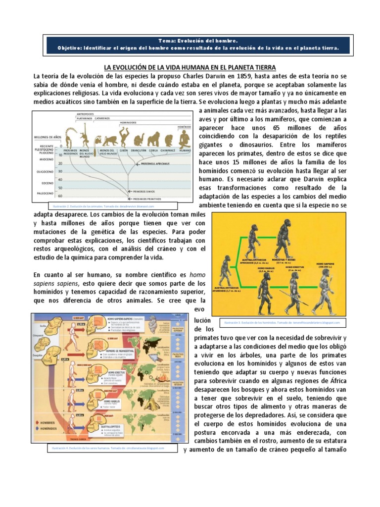 Guía 9 La Evolución de La Vida Humana | PDF | Homo | Evolución