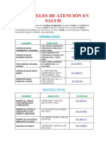 Los Niveles de Atención en Salud