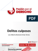 Delitos Culposos PDF Gratis