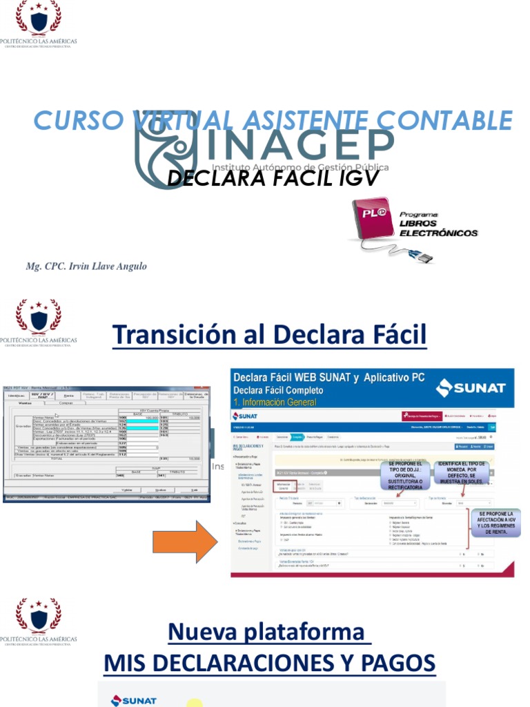 Declara Facil IGV | PDF