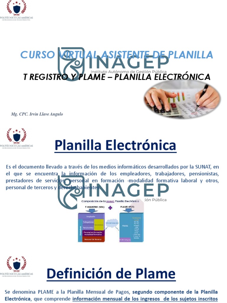 Curso PLAME: Registro y Declaración Electrónica | PDF | Pensión | Salario