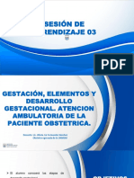 Sesion n3. Desarrollo Gestacional. Atencion Ambulatoria de La Paciente Obstetrica.