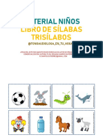 Producto 81. Láminas para Armar Libro de Sílabas