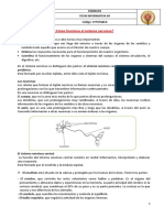 CYT FICHA INFORMATIVA 04 Sistema Nervioso