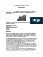 Estrutura Geológica e Mineração No Brasil