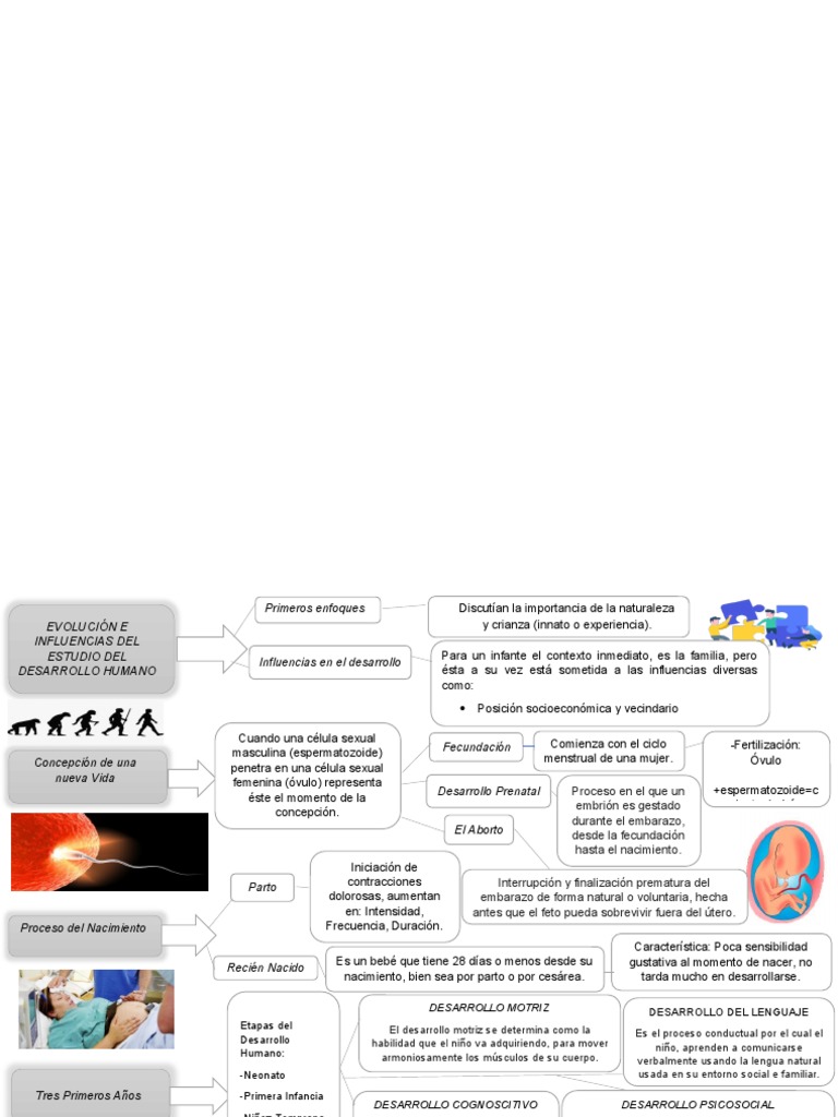 Desarrollo Humano y Social | PDF | El embarazo | Parto