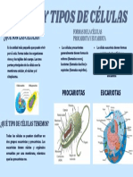 Infografia de Celulas