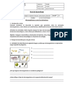 Bio 4EM U2 G12 Sistema Inmune Estructura y Funcion Microorganismos y Defensas