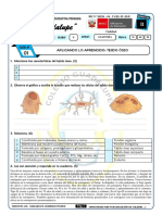 Guía 3 Secundaria Anatomía