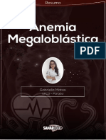 5.anemia Megaloblástica Resumo