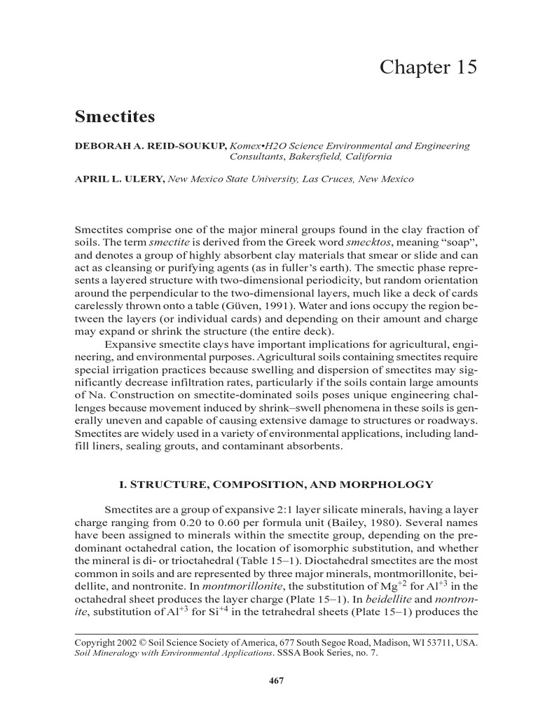 Soil Mineralogy With Environmental Applications 1 Páginas 484 540