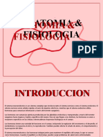 Mapa Conceptual Sist Neuroendocrino