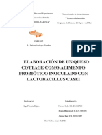 Proyecto Queso Cottage