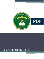 Pembenihan Ikan Lele