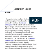 Computer Vision Work