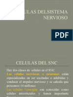 5.-Celulas Delsistema Nervioso