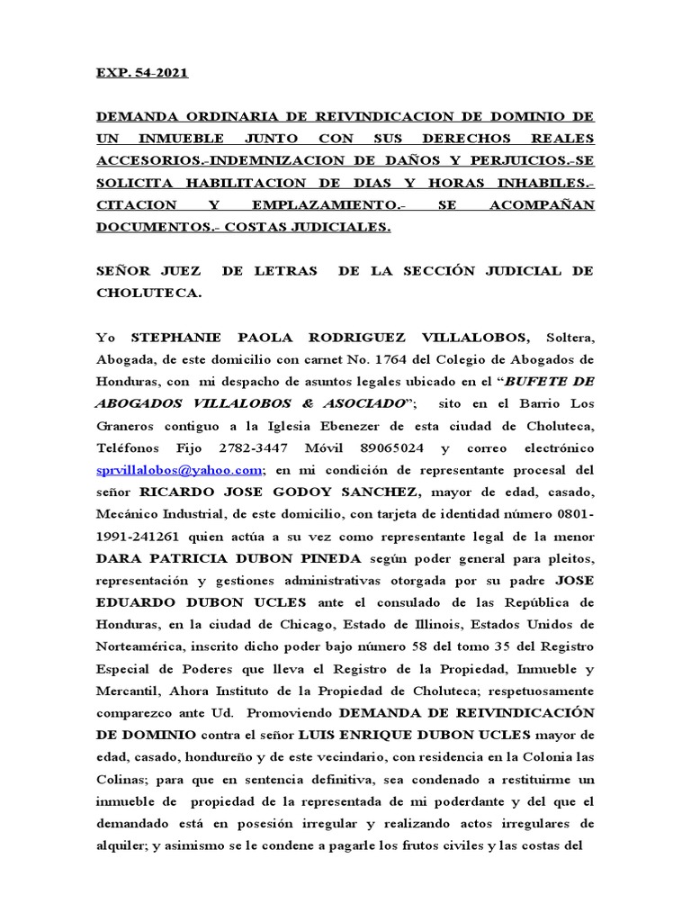 Reivindicatoria de Dominio | PDF | Demanda judicial | Propiedad
