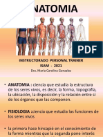 Anatomia Modificada2021 Personal Trainer