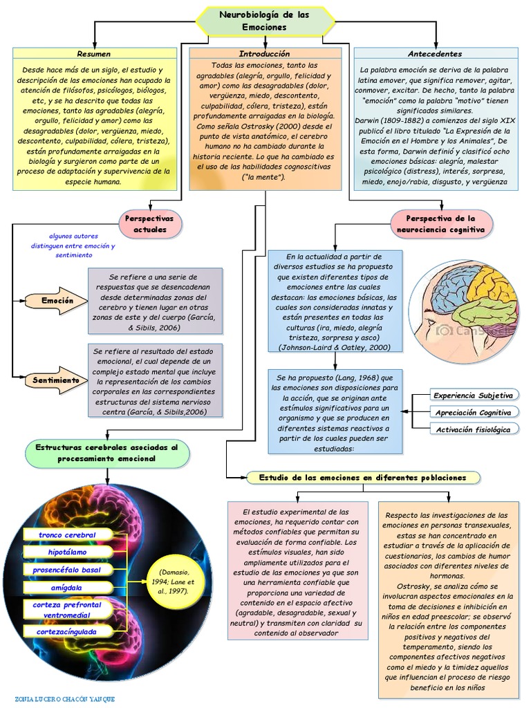 Neurobiología de las Emociones Humanas | PDF | Las emociones | Sicología