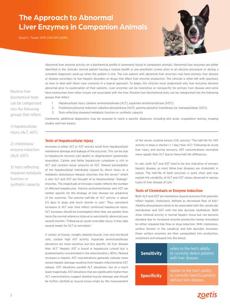 Feline Leukemia Abnormal Liver Enzymes Results preview