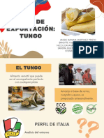 Plan de Exportación