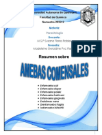 Amebas Comensales - Madeleine Geraldine Puc Flores