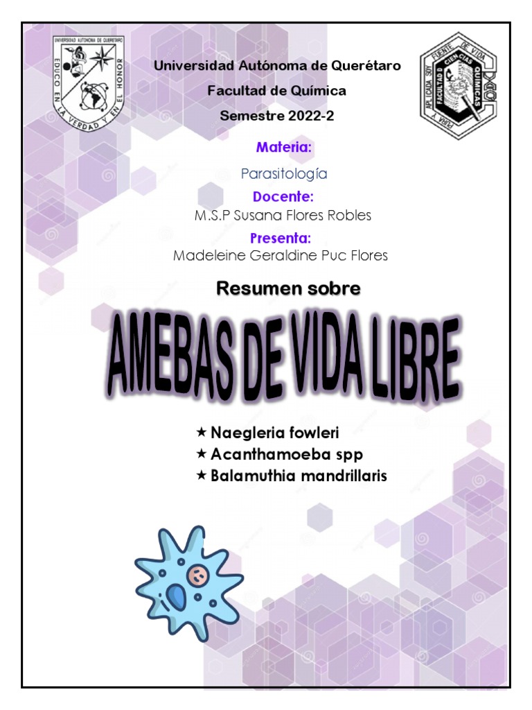 Amebas de Vida Libre: Naegleria y Acanthamoeba | PDF | Medicina CLINICA ...