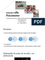 Desarrollo Psicomotor