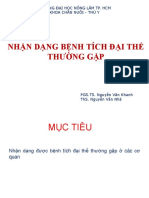 B3 TP Nhan Dang BT Dai The