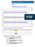 FICHA de La Parabola El Sembrador