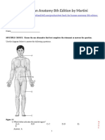 Test Bank For Human Anatomy 8th Edition by Martini